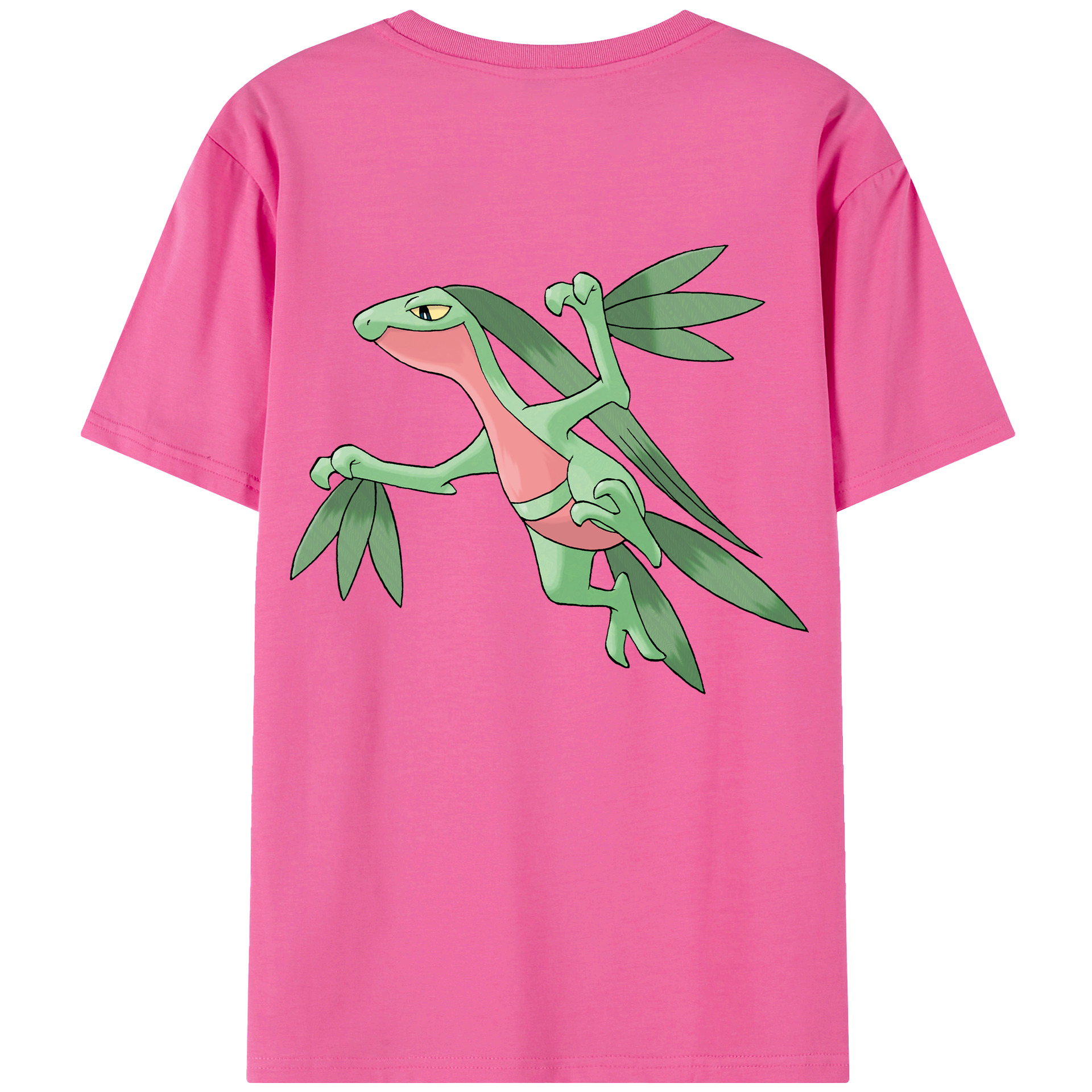（画像用） ポケットモンスター Pokémon レディース半袖Tシャツ(バックプリント)